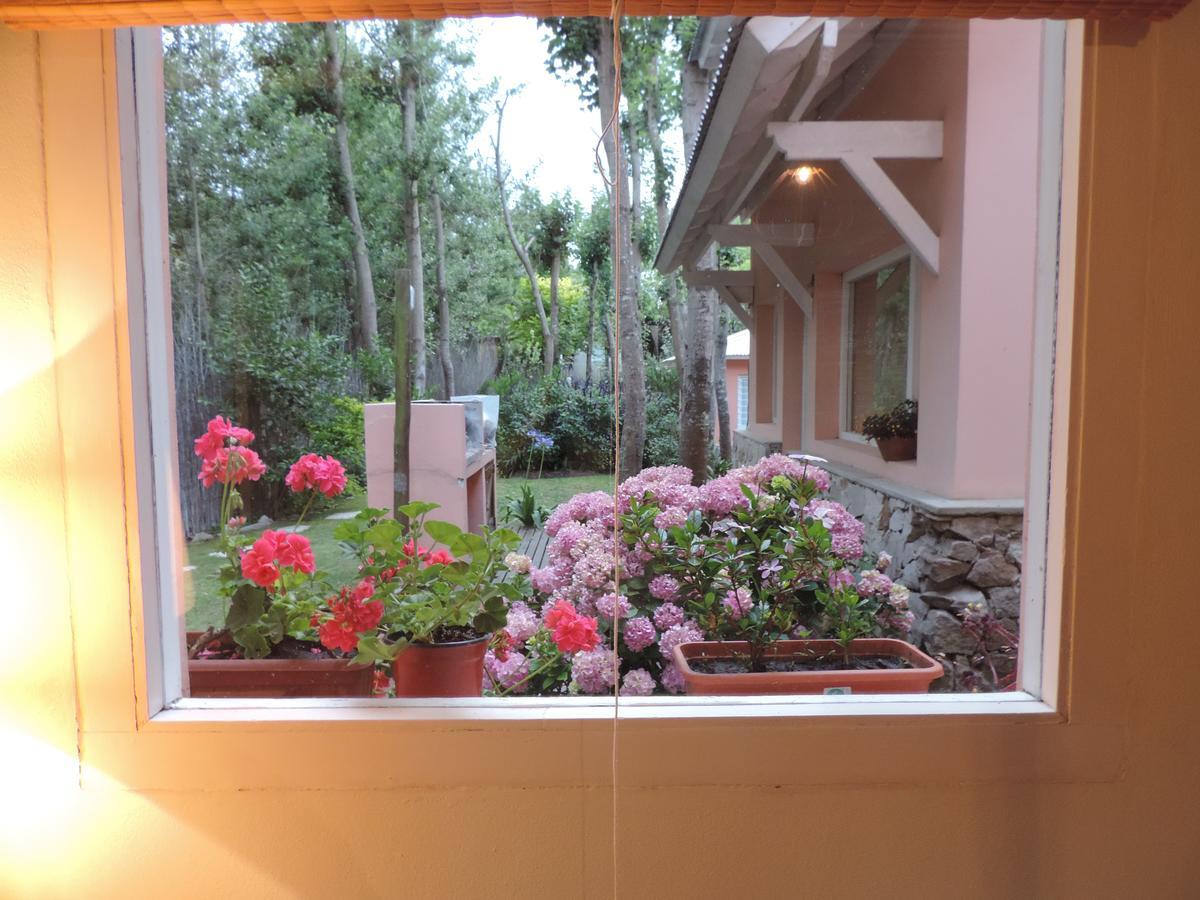Puerto De Lilas 拉斯加维奥塔斯 外观 照片